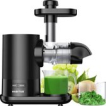 Habitus Slowjuicer voor Groenten en Fruit - Met 500 ml Sapkan - Cold Press - Sapcentrifuge - Sapmaker - Juicer - 150W - Zwart