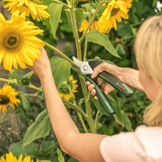 Bosch EasyPrune elektrische accutuinschaar