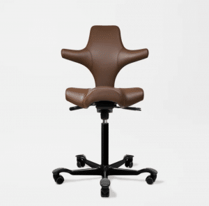 Capisco Chair