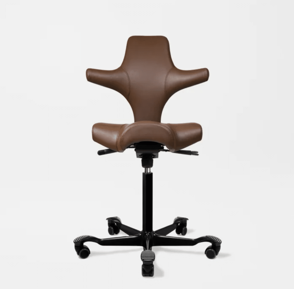 Capisco Chair